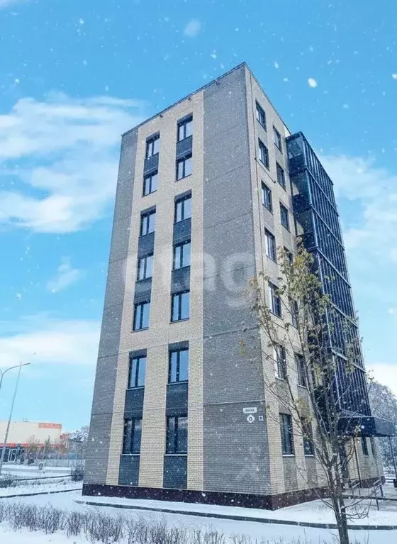 Студия Архангельская область, Архангельск ул. Октябрят, 30к2 (24.5 м) - Фото 1