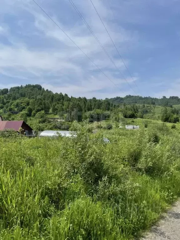 Дом в Алтай, Горно-Алтайск Иолго СНТ, 23 (40 м) - Фото 1