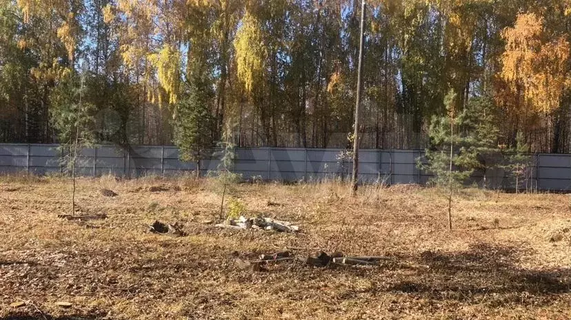 Участок 10,1сот. (ИЖС) - Фото 0