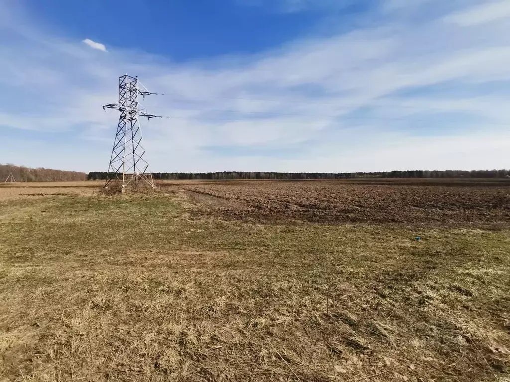 Участок в Владимирская область, Александровский район, Андреевское ... - Фото 0