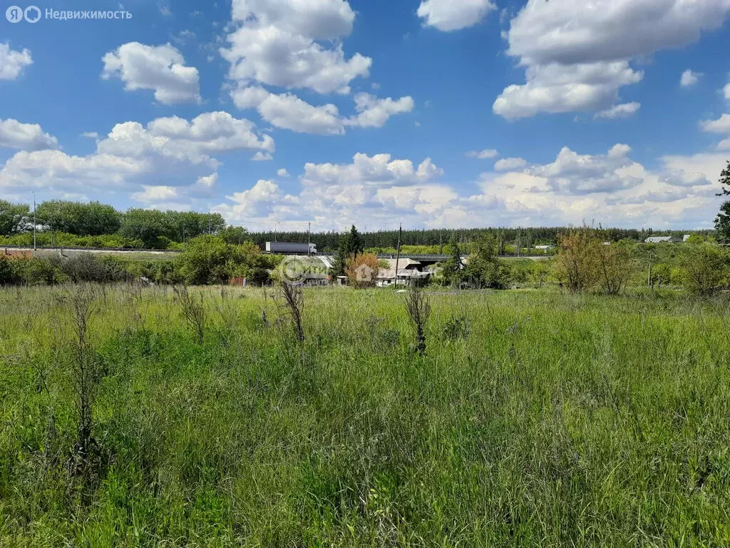 Участок в деревня Галкино, Дорожная улица, 20 (15 м) - Фото 1