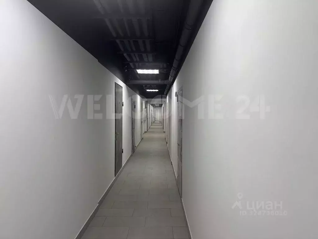 Помещение свободного назначения в Краснодарский край, Анапа ул. ... - Фото 2