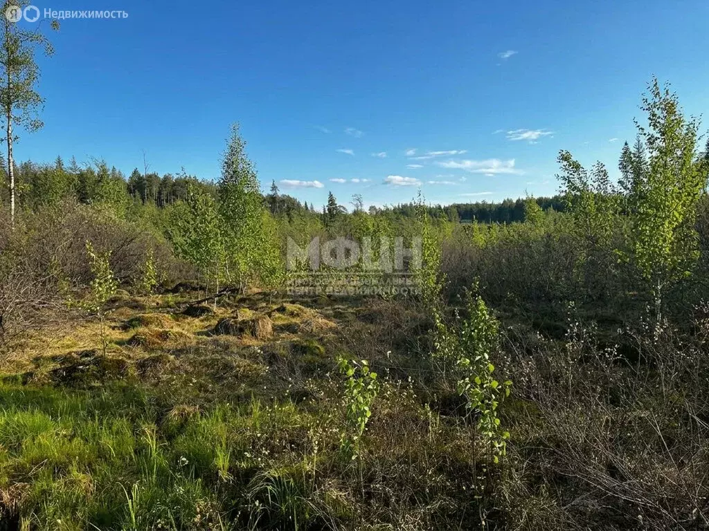 Участок в Петрозаводск, улица Верхняя Неглинка (10 м) - Фото 1