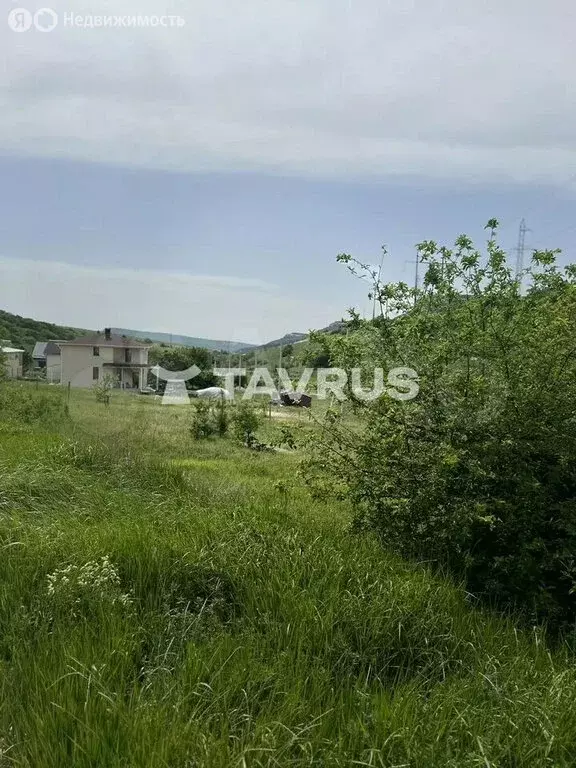 Участок в Мшинское сельское поселение, садоводческий массив Дивенская, ... - Фото 2