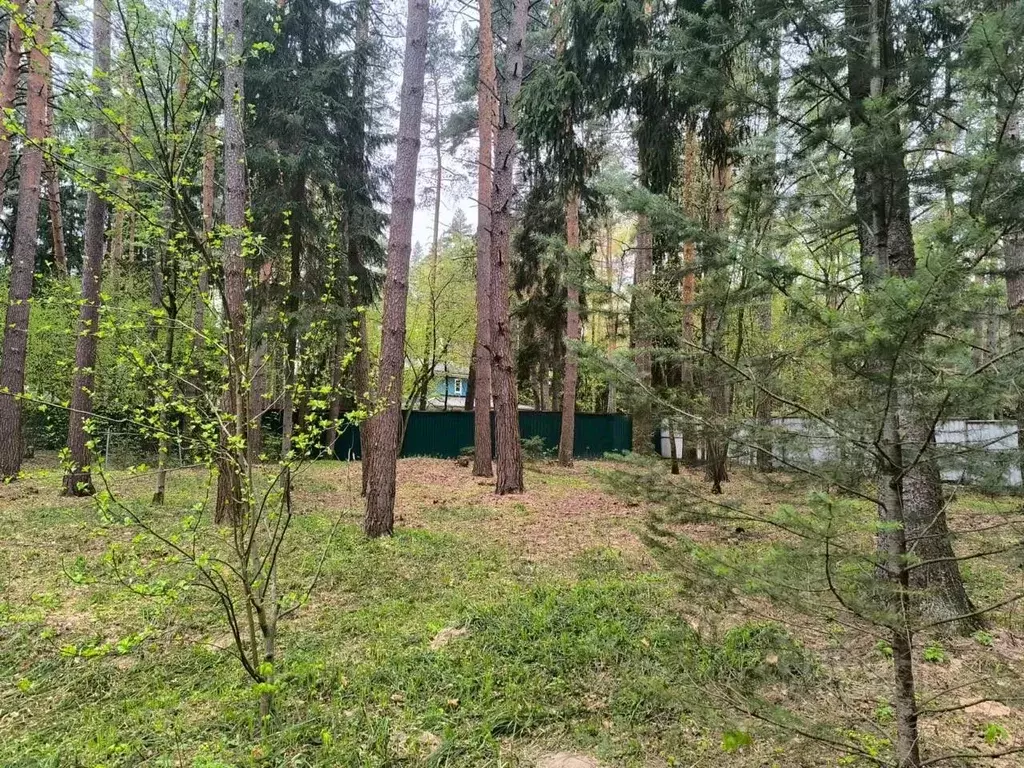 Участок в Московская область, Одинцовский городской округ, пос. дома ... - Фото 1