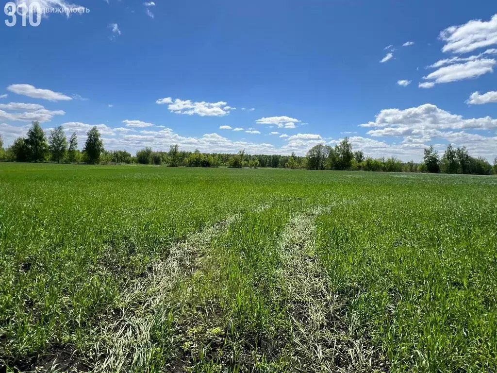 Участок в Орловский муниципальный округ, посёлок Малая Саханка, ... - Фото 2