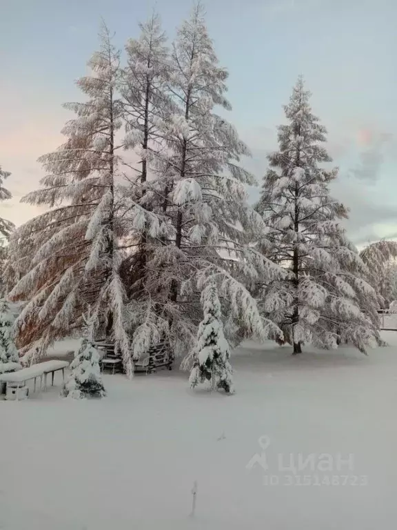 Коттедж в Хабаровский край, Советская Гавань Советско-Гаванский район, ... - Фото 0