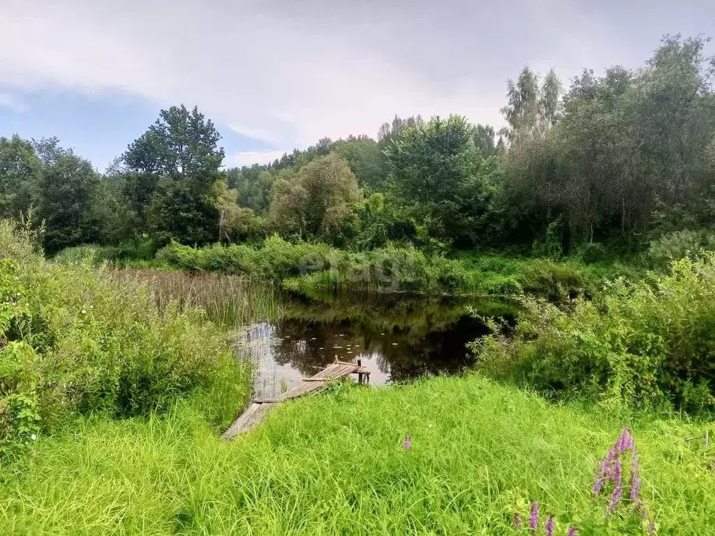 Участок в Псковская область, Пушкиногорский район, Велейская волость, ... - Фото 1