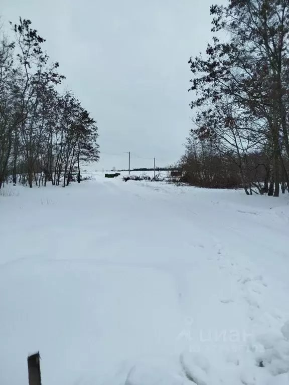 Участок в Курская область, Курский район, Нижнемедведицкий сельсовет, ... - Фото 1