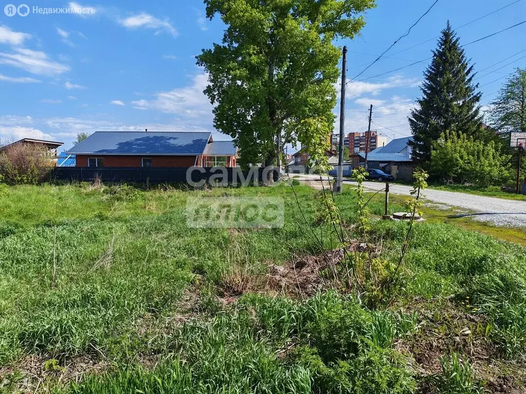 Участок в Бердск, посёлок Боровой, 2-я Школьная улица, 9 (6.8 м) - Фото 1