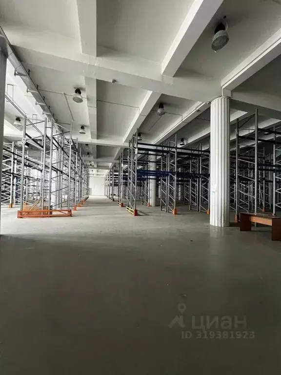 Склад в Московская область, Реутов Строй парк индустриальный парк, к11 ... - Фото 1