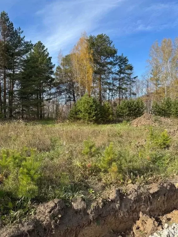 Участок в Тюменская область, Тюменский район, с. Горьковка Сибирская ... - Фото 1