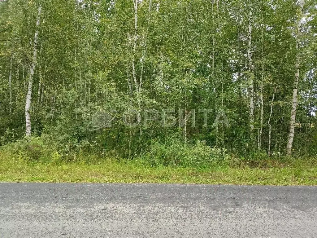 Участок в Тюменская область, Нижнетавдинский район, Сундукульский ... - Фото 0