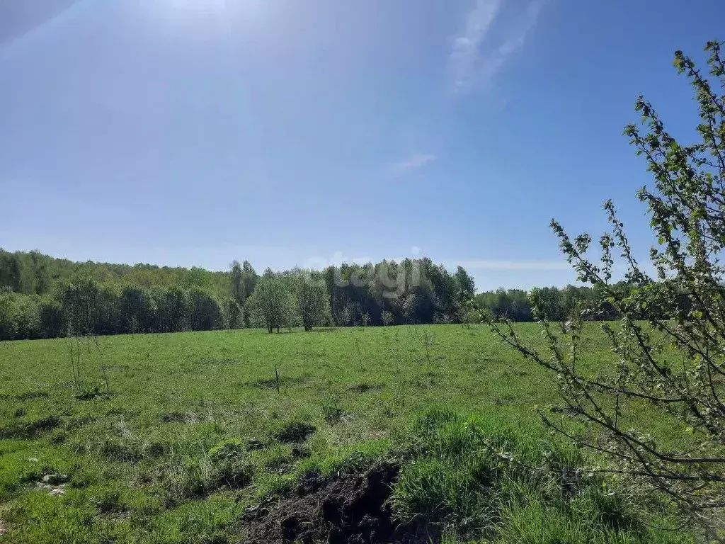 Участок в Калужская область, Ферзиковский район, Красный Городок ... - Фото 0