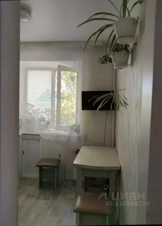 1-к кв. Хакасия, Абакан ул. Герцена, 23 (30.0 м) - Фото 2