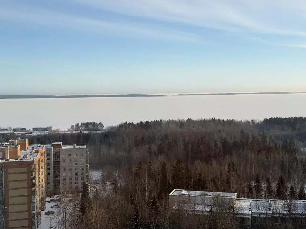 1-к кв. Карелия, Петрозаводск ул. Петрова, 25 (35.0 м) - Фото 2