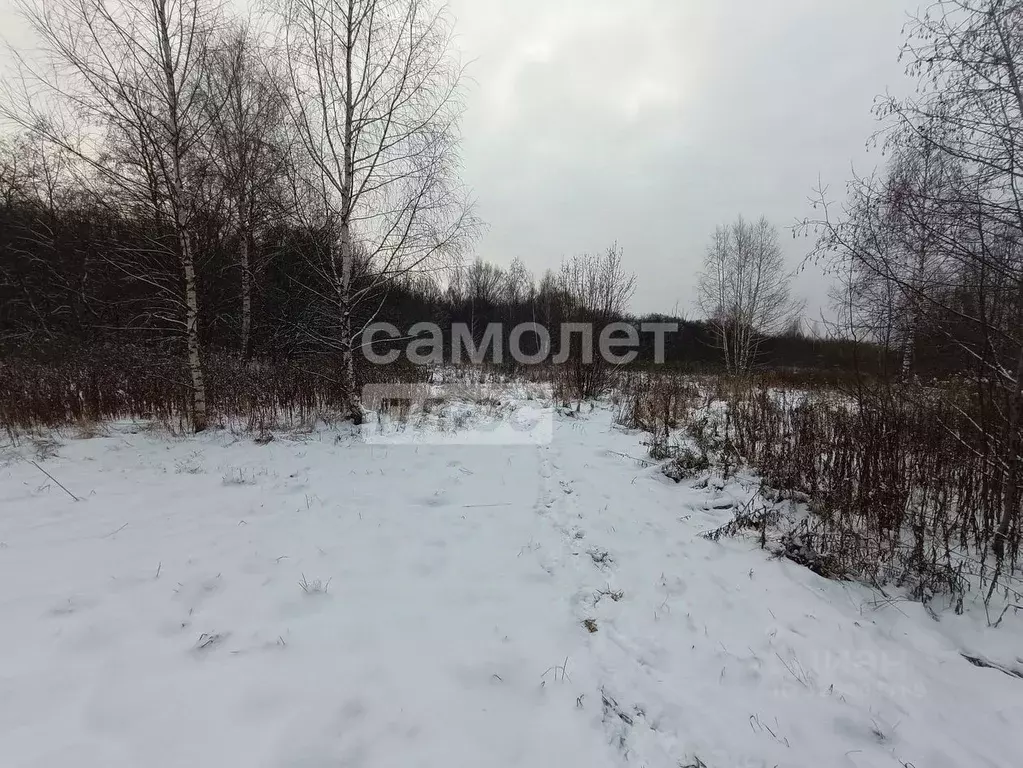 Участок в Ярославская область, Переславль-Залесский муниципальный ... - Фото 2