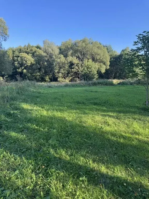 Участок в Московская область, Ступино городской округ, с. Вихорна  ... - Фото 2