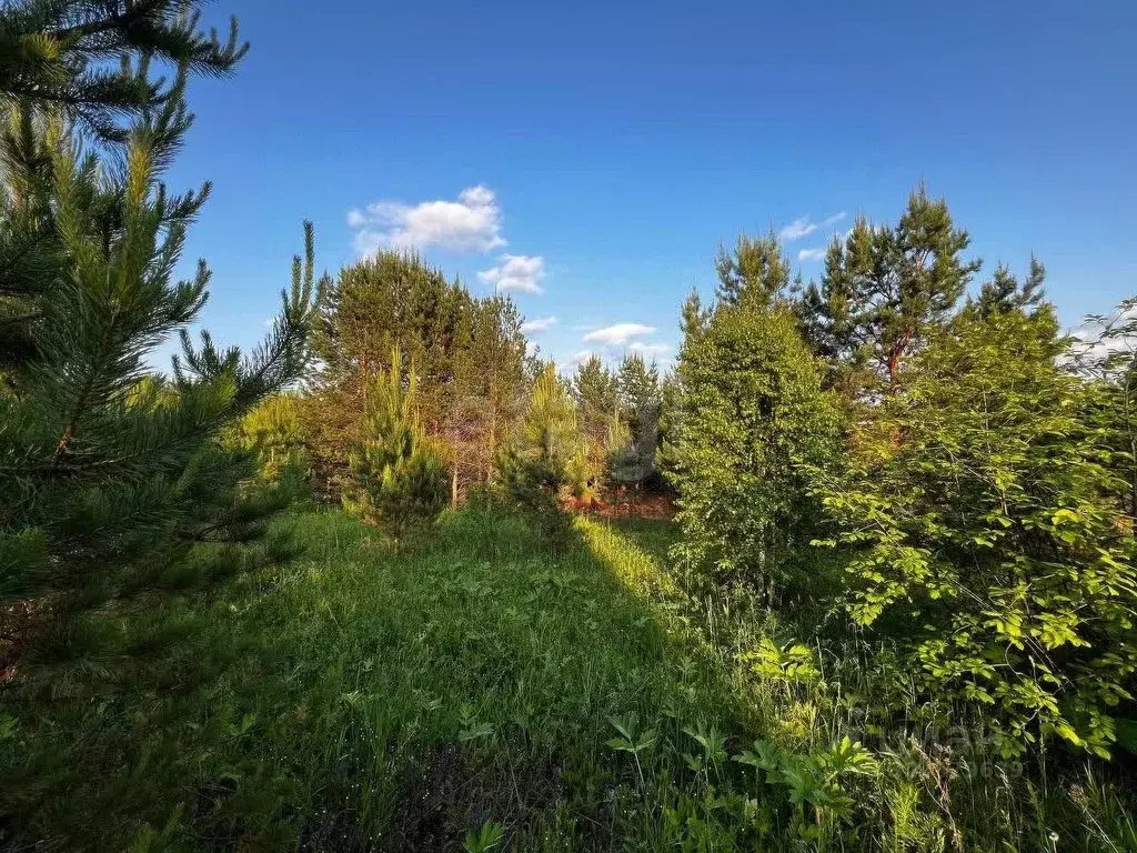 Участок в Красноярский край, Дивногорск городской округ, пос. Манский ... - Фото 2