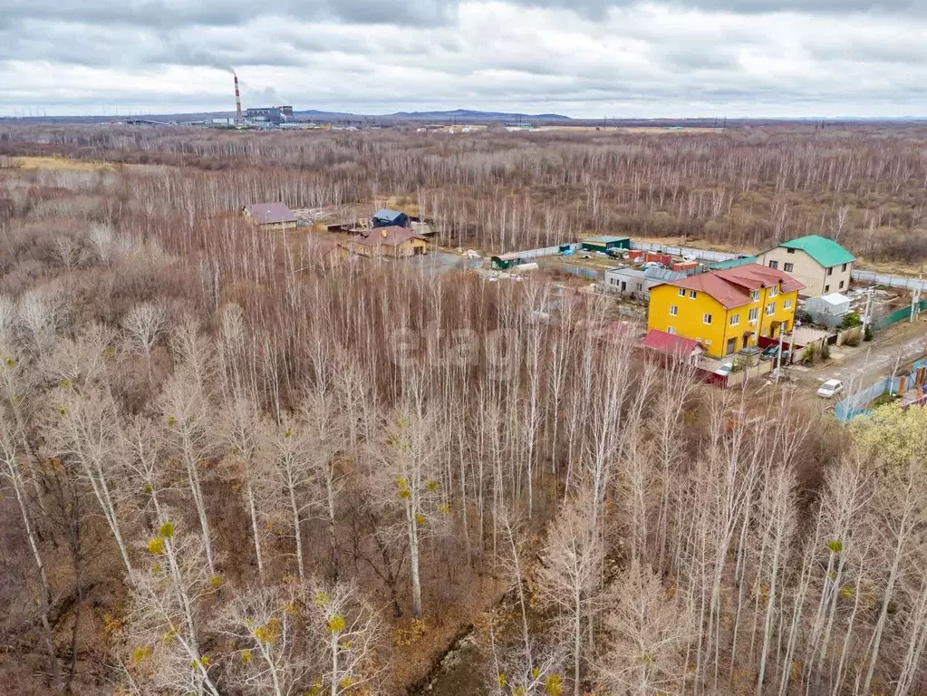 Участок в Хабаровский край, Хабаровский район, Тополевское с/пос, с. ... - Фото 2