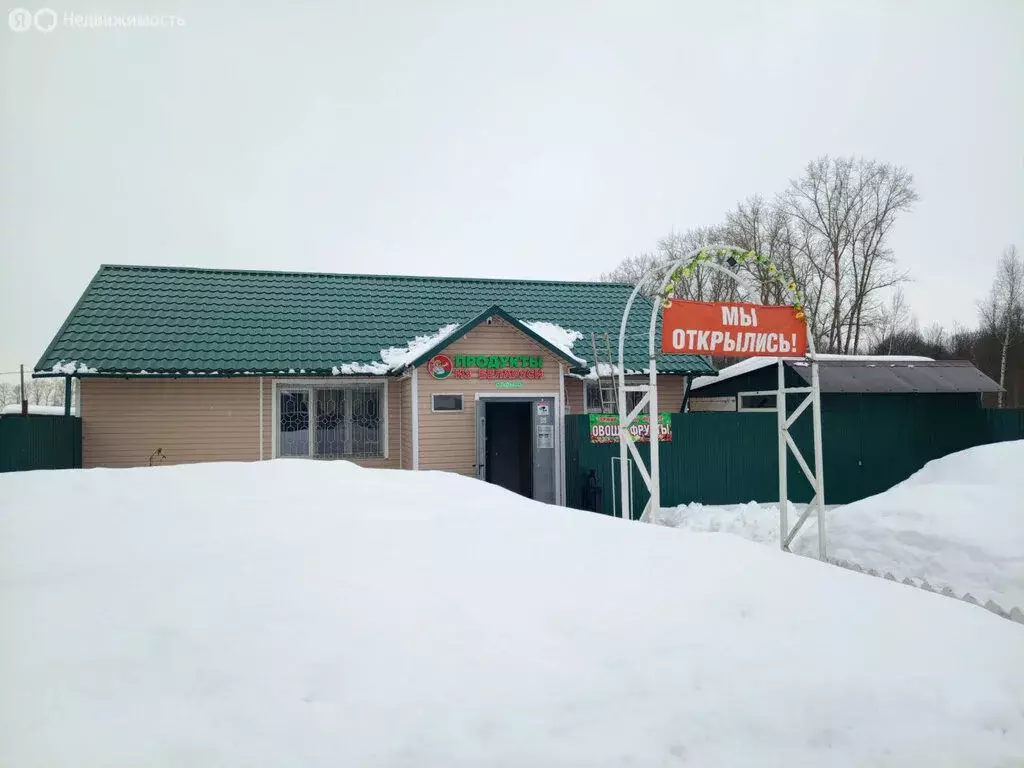 Участок в Московская область, Раменский муниципальный округ, СНТ Ясная ... - Фото 2