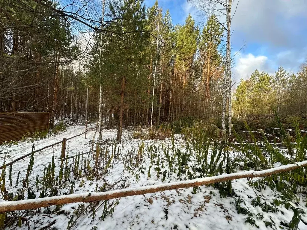 Участок в Татарстан, Зеленодольск Трудовик садовое товарищество,  (5.0 ... - Фото 0