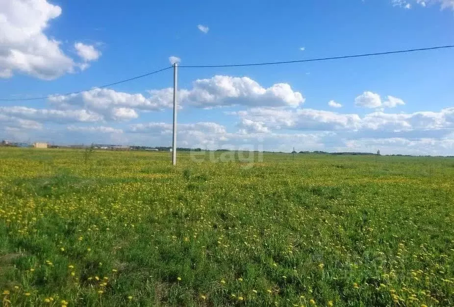 Участок в Волгоградская область, Городище рп ул. Имени Левитана, 17 ... - Фото 1