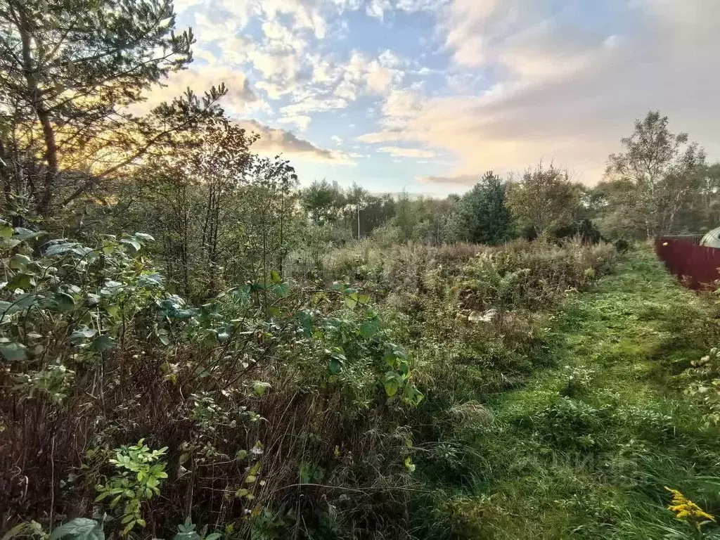 Участок в Сахалинская область, Южно-Сахалинск Малыш СНТ, 5 (12.7 сот.) - Фото 1