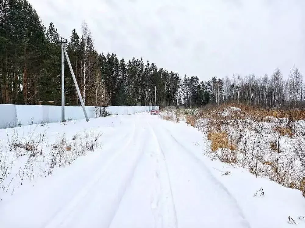 Участок в Тюменская область, Нижнетавдинский район, д. Штакульская  ... - Фото 1