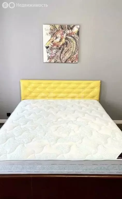 Квартира-студия: Санкт-Петербург, улица Шкапина, 24 (25 м) - Фото 2