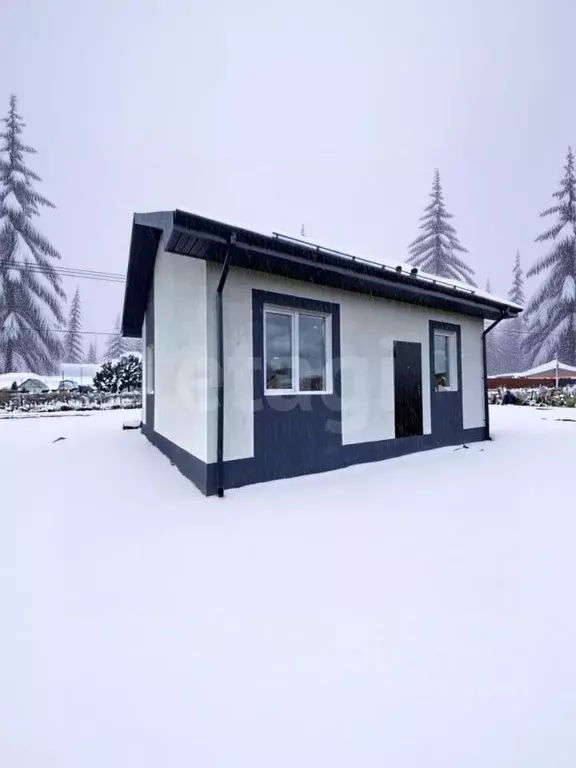 Дом в Тюменская область, Тюменский муниципальный округ, с. Салаирка ... - Фото 1