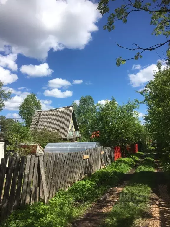 Дом в Архангельская область, Приморский муниципальный округ, Борок СНТ ... - Фото 0