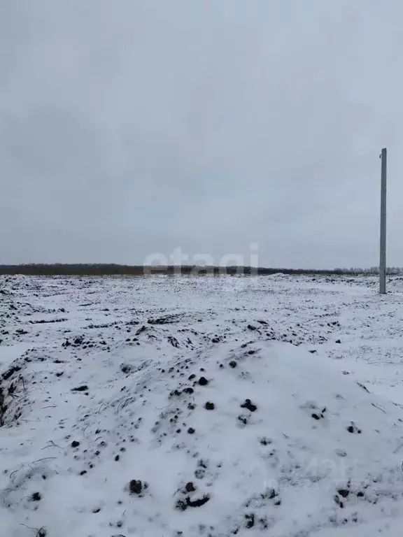 Участок в Белгородская область, Белгородский район, Головинское с/пос, ... - Фото 2