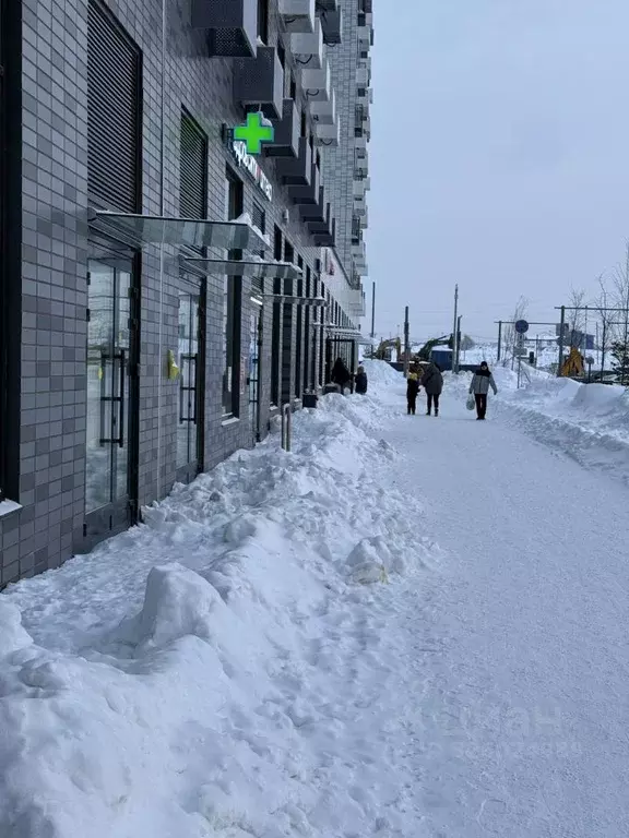 Помещение свободного назначения в Москва ул. Трехполье, 6к1 (28 м) - Фото 2