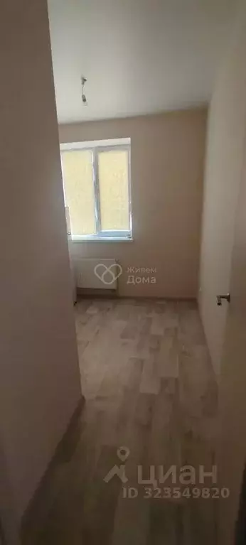 1-к кв. Волгоградская область, Волгоград ул. Ломоносова, 16 (20.8 м) - Фото 2