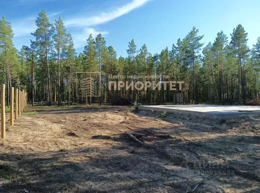 Участок в Саха (Якутия), Мегино-Кангаласский улус, Нижний Бестях пгт  ... - Фото 2