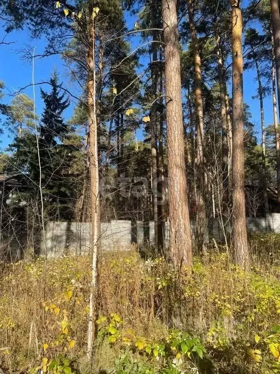 Участок в Новосибирская область, Новосибирск Европейский кп, ул. ... - Фото 1