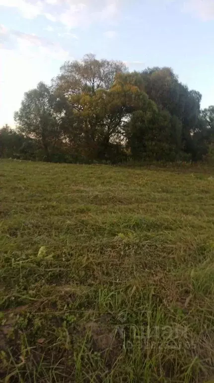 Участок в Московская область, Можайский муниципальный округ, с. ДНП ... - Фото 2