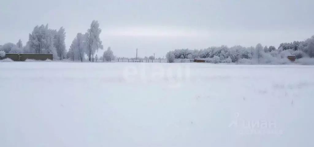 Участок в Тульская область, Щекинский район, Ломинцевское с/пос, д. ... - Фото 1