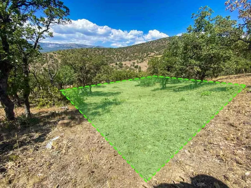 Участок в Крым, Алушта муниципальный округ, с. Приветное  (5.0 сот.) - Фото 2