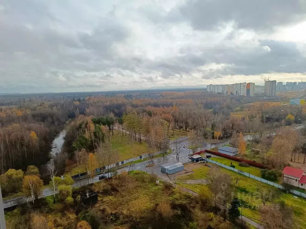 2-к кв. Санкт-Петербург ул. Корнея Чуковского, 7к4 (50.0 м) - Фото 2