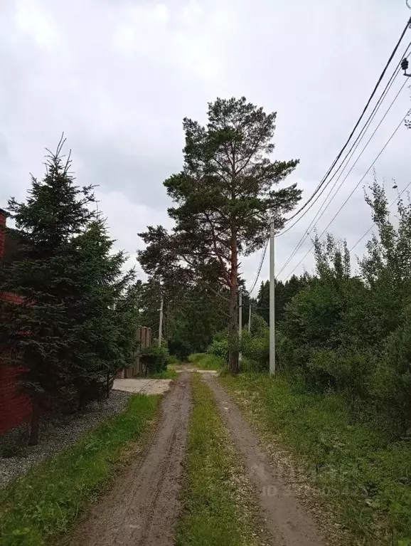 Участок в Московская область, Наро-Фоминский городской округ, пос. ... - Фото 2