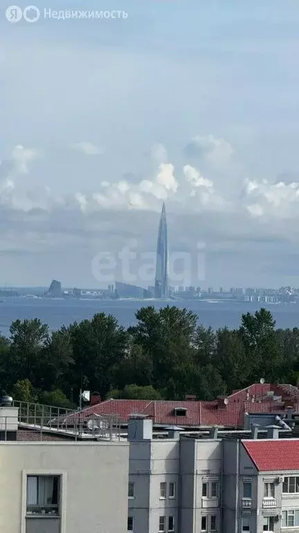Квартира-студия: Санкт-Петербург, улица Лётчика Лихолетова, 14к2 (24.5 ... - Фото 0