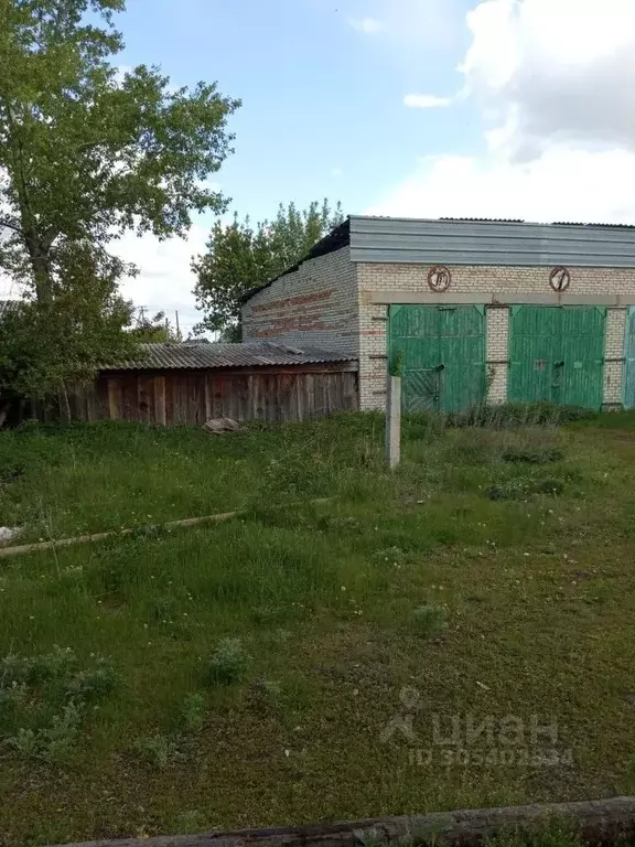 Гараж в Курганская область, с. Альменево ул. Комсомола, 10 (224 м) - Фото 1