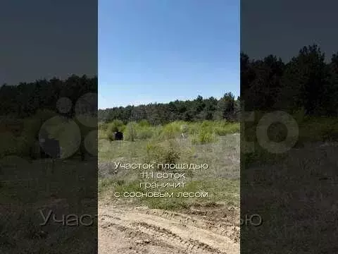 Участок 7 сот. (СНТ, ДНП) - Фото 1