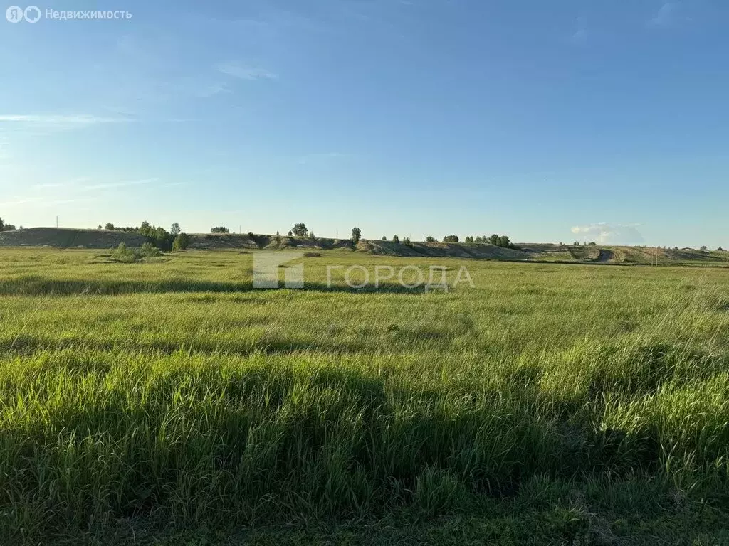 Участок в село Вагайцево, улица Свердлова, 76 (10 м) - Фото 0
