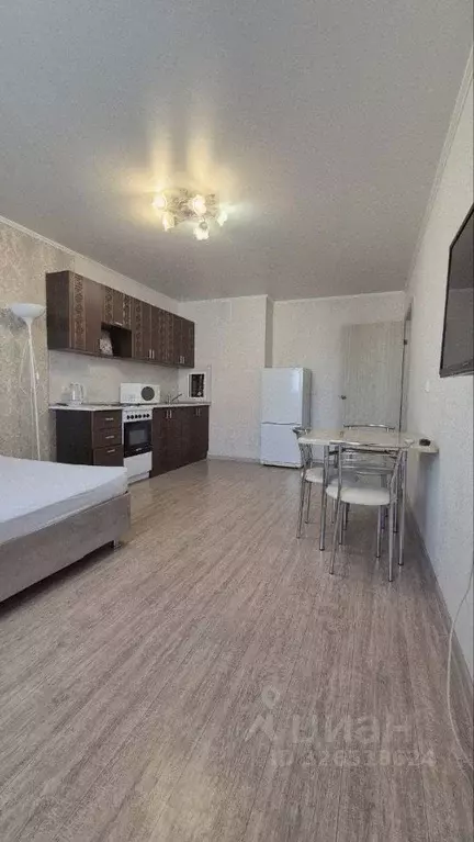 Студия Краснодарский край, Краснодар Черкасская ул., 68 (26.0 м) - Фото 2