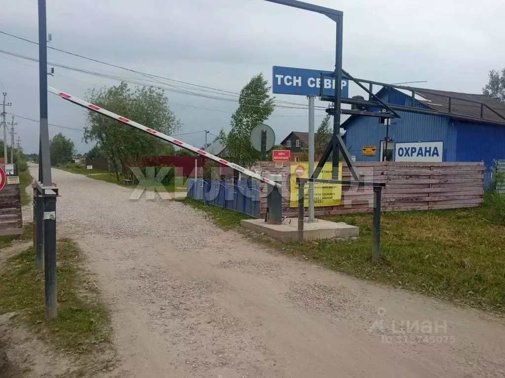 Участок в Новосибирская область, Колыванский район, Север ТСН ул. 4-я ... - Фото 0