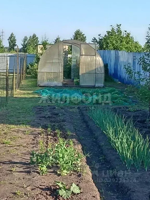 Участок в Новосибирская область, Новосибирский район, Ярковский ... - Фото 2