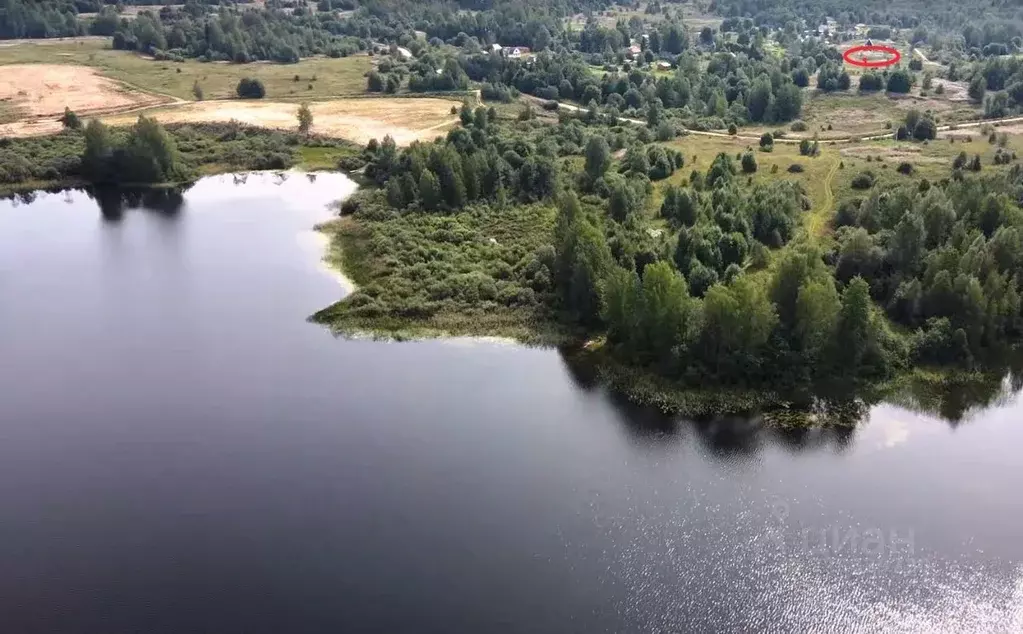 Участок в Новгородская область, Валдайский район, Короцкое с/пос, д. ... - Фото 1